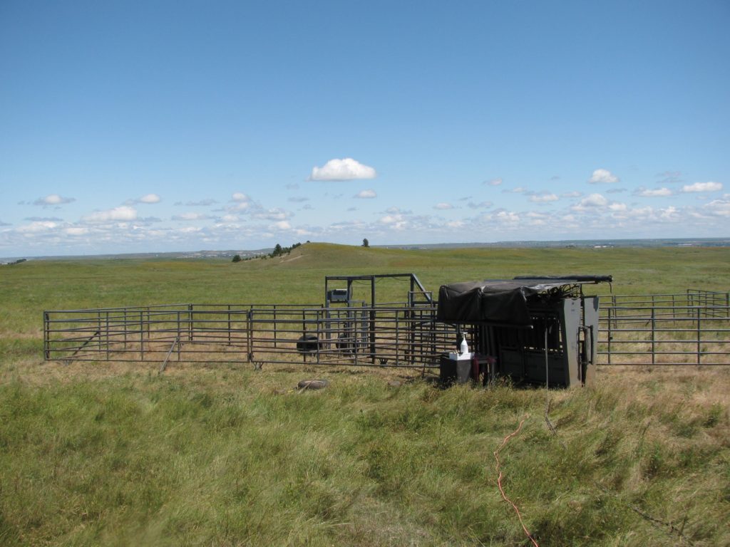 Ranch model Silencer Chute in Pasture with Rawhide Portable Corrals