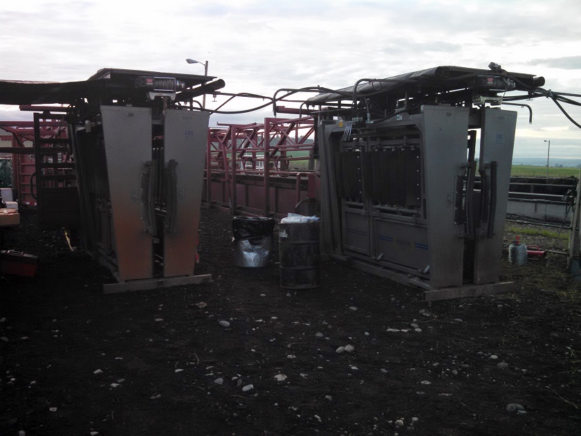 Two Ranch Model Silencer Chutes and Daniels for Breeding Project