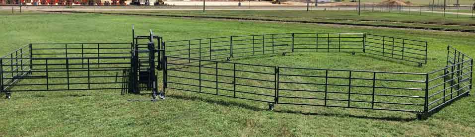 Standard Rawhide Processor Corral