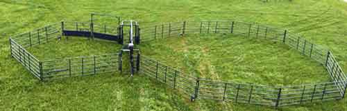 Portable Corrals for Easy Cow Work | CATL Resources Livestock Equipment